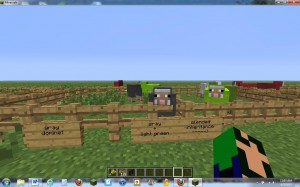 Sheep Genetics 11